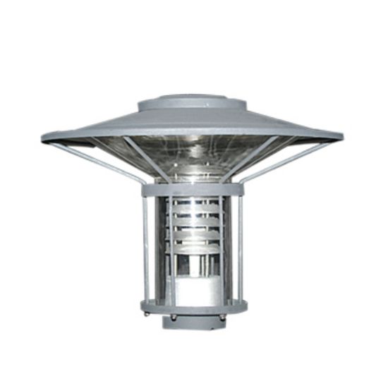 ΚΕΦΑΛΗ ΚΟΛΩΝΑΣ 8033