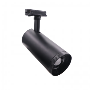 Σποτ Ράγας 2 Καλωδίων  10W 3000K 1000lm Black 