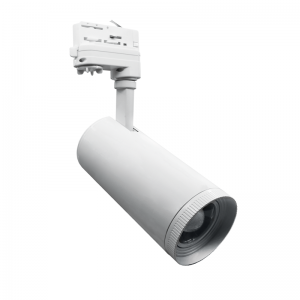 Σποτ Ράγας 4 Καλωδίων  10W 3000K 1000lm White 