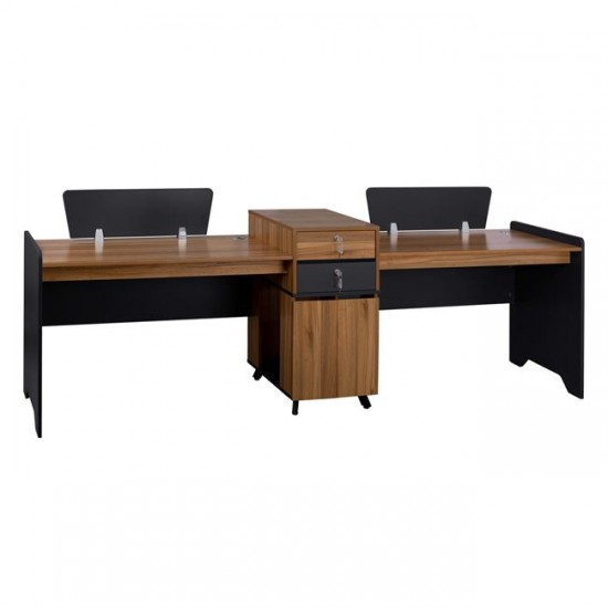 ΕΠΑΓΓΕΛΜΑΤΙΚΟΣ ΣΤΑΘΜΟΣ ΕΡΓΑΣΙΑΣ 2 ΑΤΟΜΩΝ 289x60x88Υεκ.