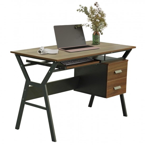 ΓΡΑΦΕΙΟ ΚΑΡΥΔΙ-ΓΚΡΙ ΜΕ ΜΑΤ ΓΚΡΙ ΣΚΕΛΕΤΟ 120X60X76εκ.