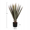 ΔΙΑΚΟΣΜΗΤΙΚΟ ΣΥΝΘΕΤΙΚΟ ΦΥΤΟ SISAL AGAVE ΣΕ ΓΛΑΣΤΡΑ  Φ13,5x13-76Υεκ.