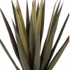 ΔΙΑΚΟΣΜΗΤΙΚΟ ΣΥΝΘΕΤΙΚΟ ΦΥΤΟ SISAL AGAVE ΣΕ ΓΛΑΣΤΡΑ  Φ13,5x13-76Υεκ.