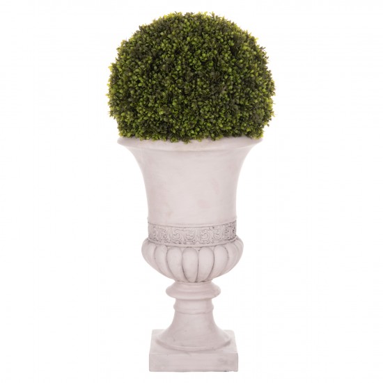 ΔΙΑΚΟΣΜΗΤΙΚΟ ΣΥΝΘΕΤΙΚΟ ΦΥΤΟ HM4023 ΠΥΞΑΡΙ ΣΕ ΑΜΦΟΡΕΑ ΜΑΓΝΗΣΙΟΥ 82Υεκ.