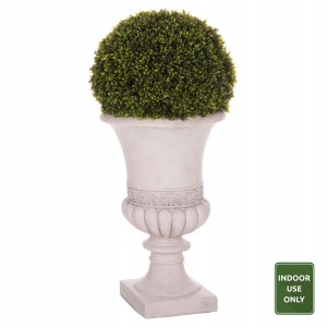 ΔΙΑΚΟΣΜΗΤΙΚΟ ΣΥΝΘΕΤΙΚΟ ΦΥΤΟ ΠΥΞΑΡΙ ΣΕ ΑΜΦΟΡΕΑ ΜΑΓΝΗΣΙΟΥ 82Υεκ.