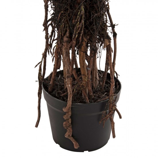 ΔΙΑΚΟΣΜΗΤΙΚΟ ΣΥΝΘΕΤΙΚΟ ΦΥΤΟ HM7988 ΦΟΙΝΙΚΟΔΕΝΤΡΟ ΣΕ ΓΛΑΣΤΡΑ Φ23x18-180Υεκ.