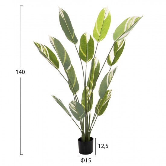 ΔΙΑΚΟΣΜΗΤΙΚΟ ΣΥΝΘΕΤΙΚΟ ΦΥΤΟ CALATHEA ΣΕ ΓΛΑΣΤΡΑ 140Υεκ.