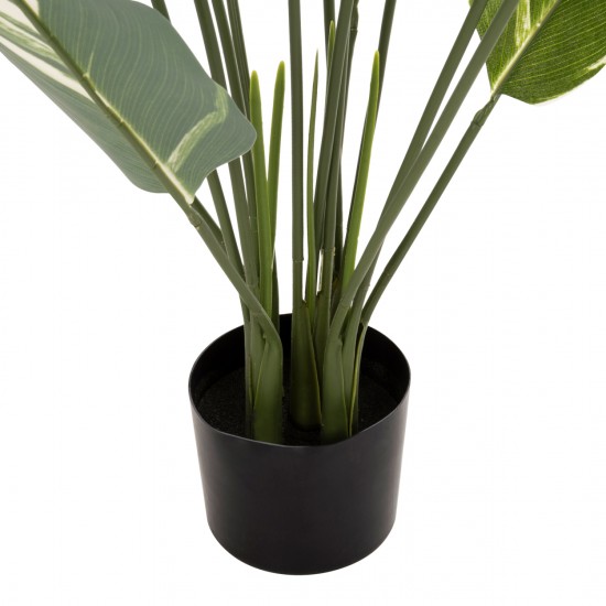 ΔΙΑΚΟΣΜΗΤΙΚΟ ΣΥΝΘΕΤΙΚΟ ΦΥΤΟ CALATHEA ΣΕ ΓΛΑΣΤΡΑ 140Υεκ.