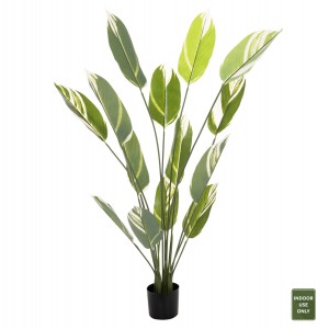 ΔΙΑΚΟΣΜΗΤΙΚΟ ΣΥΝΘΕΤΙΚΟ ΦΥΤΟ CALATHEA ΣΕ ΓΛΑΣΤΡΑ 140Υεκ.