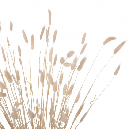 ΔΙΑΚΟΣΜΗΤΙΚΟ ΜΠΟΥΚΕΤΟ ΑΠΟΞΗΡΑΜΕΝΟ HM7959 RABBIT TAIL- CREAM 50gr 76Υεκ.