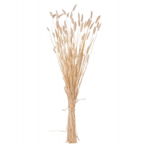 ΔΙΑΚΟΣΜΗΤΙΚΟ ΜΠΟΥΚΕΤΟ ΑΠΟΞΗΡΑΜΕΝΟ RABBIT TAIL- CREAM 50gr 76Υεκ.