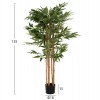 ΔΙΑΚΟΣΜΗΤΙΚΟ ΣΥΝΘΕΤΙΚΟ ΦΥΤΟ BAMBOO ΣΕ ΓΛΑΣΤΡΑ 155Υεκ.