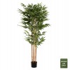 ΔΙΑΚΟΣΜΗΤΙΚΟ ΣΥΝΘΕΤΙΚΟ ΦΥΤΟ BAMBOO ΣΕ ΓΛΑΣΤΡΑ 180Υεκ. ΔΙΑΚΟΣΜΗΤΙΚΟ ΣΥΝΘΕΤΙΚΟ ΦΥΤΟ BAMBOO ΣΕ ΓΛΑΣΤΡΑ 180Υεκ.