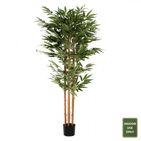 ΔΙΑΚΟΣΜΗΤΙΚΟ ΣΥΝΘΕΤΙΚΟ ΦΥΤΟ BAMBOO ΣΕ ΓΛΑΣΤΡΑ 180Υεκ. ΔΙΑΚΟΣΜΗΤΙΚΟ ΣΥΝΘΕΤΙΚΟ ΦΥΤΟ BAMBOO ΣΕ ΓΛΑΣΤΡΑ 180Υεκ.