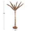 ΔΙΑΚΟΣΜΗΤΙΚΟ ΔΕΝΤΡΟ TROPIC τ.ΦΟΙΝΙΚΑ ΑΠΟ MENDONG GRASS 280Yεκ. ΔΙΑΚΟΣΜΗΤΙΚΟ ΔΕΝΤΡΟ TROPIC τ.ΦΟΙΝΙΚΑ ΑΠΟ MENDONG GRASS 280Yεκ.