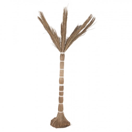 ΔΙΑΚΟΣΜΗΤΙΚΟ ΔΕΝΤΡΟ TROPIC τ.ΦΟΙΝΙΚΑ ΑΠΟ MENDONG GRASS 280Yεκ. ΔΙΑΚΟΣΜΗΤΙΚΟ ΔΕΝΤΡΟ TROPIC τ.ΦΟΙΝΙΚΑ ΑΠΟ MENDONG GRASS 280Yεκ.