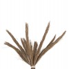 ΔΙΑΚΟΣΜΗΤΙΚΟ ΔΕΝΤΡΟ TROPIC τ.ΦΟΙΝΙΚΑ ΑΠΟ MENDONG GRASS 280Yεκ. ΔΙΑΚΟΣΜΗΤΙΚΟ ΔΕΝΤΡΟ TROPIC τ.ΦΟΙΝΙΚΑ ΑΠΟ MENDONG GRASS 280Yεκ.
