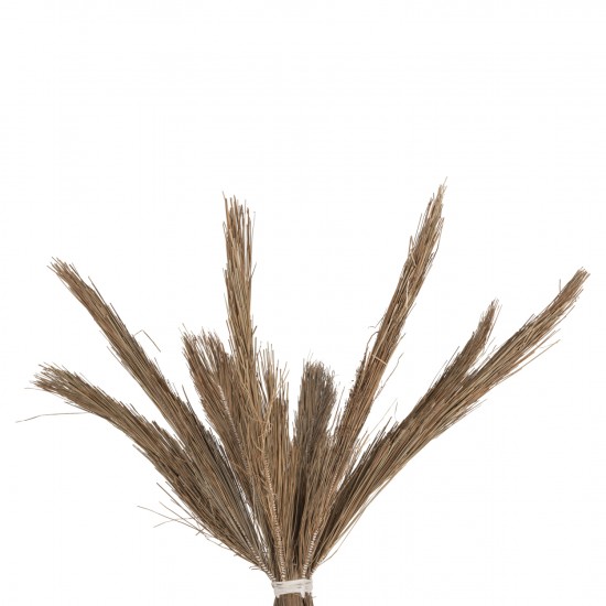 ΔΙΑΚΟΣΜΗΤΙΚΟ ΔΕΝΤΡΟ TROPIC τ.ΦΟΙΝΙΚΑ ΑΠΟ MENDONG GRASS 280Yεκ. ΔΙΑΚΟΣΜΗΤΙΚΟ ΔΕΝΤΡΟ TROPIC τ.ΦΟΙΝΙΚΑ ΑΠΟ MENDONG GRASS 280Yεκ.
