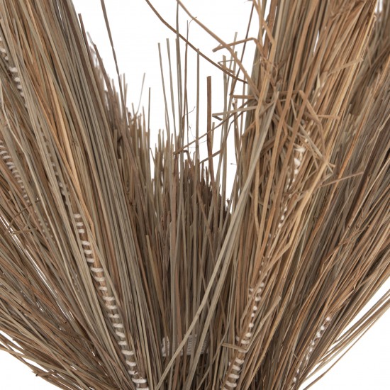 ΔΙΑΚΟΣΜΗΤΙΚΟ ΔΕΝΤΡΟ TROPIC τ.ΦΟΙΝΙΚΑ ΑΠΟ MENDONG GRASS 280Yεκ. ΔΙΑΚΟΣΜΗΤΙΚΟ ΔΕΝΤΡΟ TROPIC τ.ΦΟΙΝΙΚΑ ΑΠΟ MENDONG GRASS 280Yεκ.