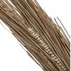 ΔΙΑΚΟΣΜΗΤΙΚΟ ΔΕΝΤΡΟ TROPIC τ.ΦΟΙΝΙΚΑ ΑΠΟ MENDONG GRASS 280Yεκ. ΔΙΑΚΟΣΜΗΤΙΚΟ ΔΕΝΤΡΟ TROPIC τ.ΦΟΙΝΙΚΑ ΑΠΟ MENDONG GRASS 280Yεκ.