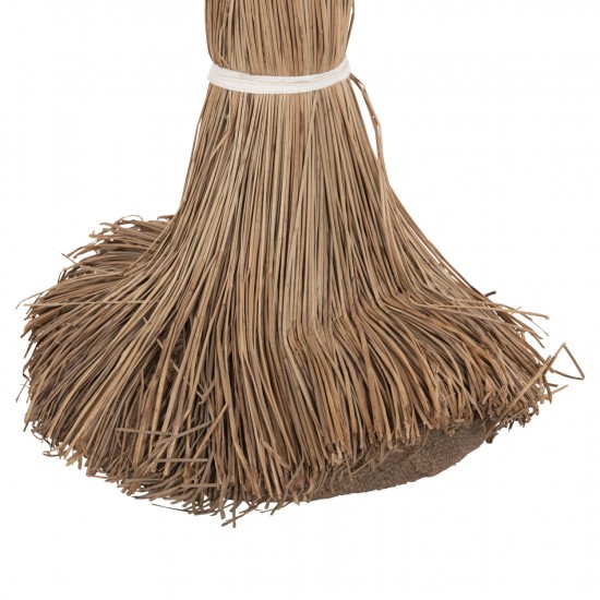 ΔΙΑΚΟΣΜΗΤΙΚΟ ΔΕΝΤΡΟ TROPIC τ.ΦΟΙΝΙΚΑ ΑΠΟ MENDONG GRASS 280Yεκ. ΔΙΑΚΟΣΜΗΤΙΚΟ ΔΕΝΤΡΟ TROPIC τ.ΦΟΙΝΙΚΑ ΑΠΟ MENDONG GRASS 280Yεκ.