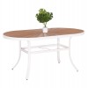 ΤΡΑΠΕΖΙ ΕΞΩΤ.ΧΩΡΟΥ TELAMO ΑΛΟΥΜΙΝΙΟ ΛΕΥΚΟ & POLYWOOD 160X90Χ73.5Υεκ.