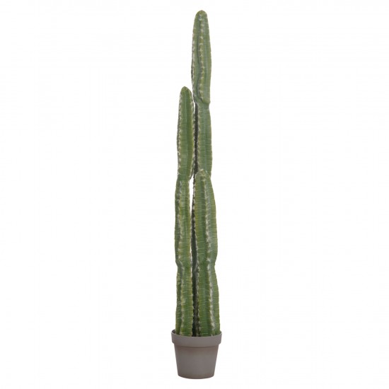 ΔΙΑΚΟΣΜΗΤΙΚΟ ΣΥΝΘΕΤΙΚΟ ΦΥΤΟ ΚΑΚΤΟΣ ΜΕ ΓΛΑΣΤΡΑ Φ19,5x141Υεκ.