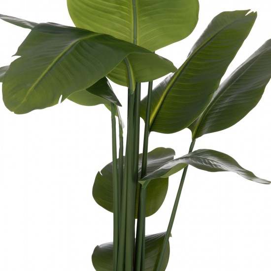 ΔΙΑΚΟΣΜΗΤΙΚΟ ΣΥΝΘΕΤΙΚΟ ΦΥΤΟ ΣΤΡΕΛΙΤΣΙΑ ΣΕ ΓΛΑΣΤΡΑ Φ18x172Υεκ.