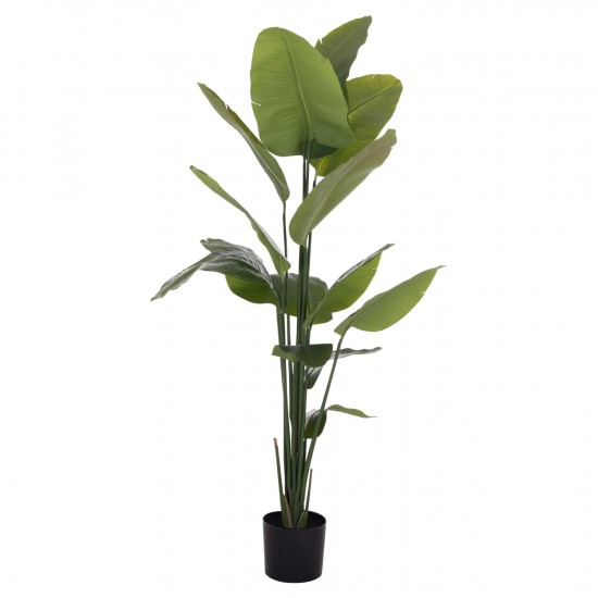 ΔΙΑΚΟΣΜΗΤΙΚΟ ΣΥΝΘΕΤΙΚΟ ΦΥΤΟ ΣΤΡΕΛΙΤΣΙΑ ΣΕ ΓΛΑΣΤΡΑ Φ18x172Υεκ.