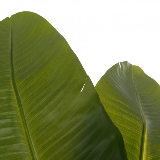 ΔΙΑΚΟΣΜΗΤΙΚΟ ΣΥΝΘΕΤΙΚΟ ΦΥΤΟ ΣΤΡΕΛΙΤΣΙΑ ΣΕ ΓΛΑΣΤΡΑ Φ18x172Υεκ.