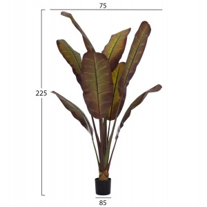 ΔΙΑΚΟΣΜΗΤΙΚΟ ΣΥΝΘΕΤΙΚΟ ΦΥΤΟ ΙΑΠΩΝΙΚΗ ΜΠΑΝΑΝΑ ΣΕ ΓΛΑΣΤΡΑ 85x75x225Υεκ.