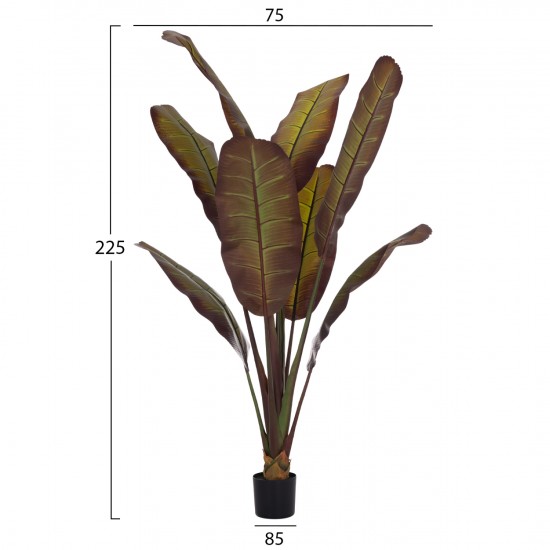 ΔΙΑΚΟΣΜΗΤΙΚΟ ΣΥΝΘΕΤΙΚΟ ΦΥΤΟ ΙΑΠΩΝΙΚΗ ΜΠΑΝΑΝΑ ΣΕ ΓΛΑΣΤΡΑ 85x75x225Υεκ.