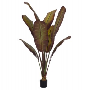 ΔΙΑΚΟΣΜΗΤΙΚΟ ΣΥΝΘΕΤΙΚΟ ΦΥΤΟ ΙΑΠΩΝΙΚΗ ΜΠΑΝΑΝΑ ΣΕ ΓΛΑΣΤΡΑ 85x75x225Υεκ.