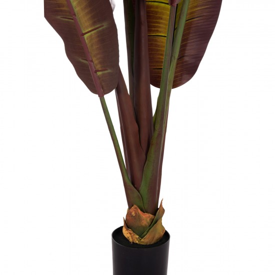 ΔΙΑΚΟΣΜΗΤΙΚΟ ΣΥΝΘΕΤΙΚΟ ΦΥΤΟ ΙΑΠΩΝΙΚΗ ΜΠΑΝΑΝΑ ΣΕ ΓΛΑΣΤΡΑ 85x75x225Υεκ.