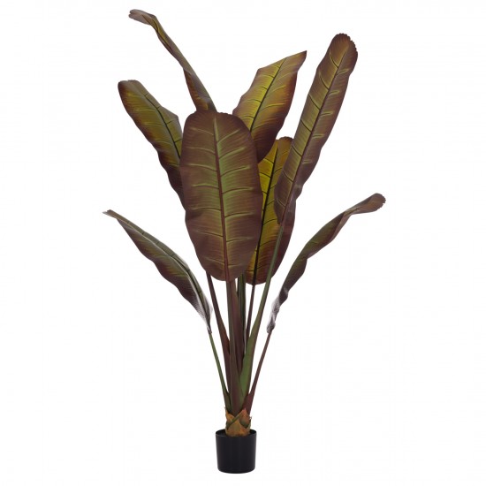 ΔΙΑΚΟΣΜΗΤΙΚΟ ΣΥΝΘΕΤΙΚΟ ΦΥΤΟ ΙΑΠΩΝΙΚΗ ΜΠΑΝΑΝΑ ΣΕ ΓΛΑΣΤΡΑ 85x75x225Υεκ.