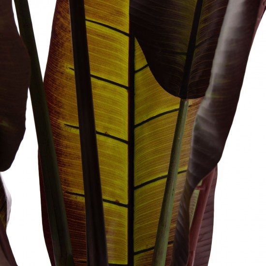 ΔΙΑΚΟΣΜΗΤΙΚΟ ΣΥΝΘΕΤΙΚΟ ΦΥΤΟ ΙΑΠΩΝΙΚΗ ΜΠΑΝΑΝΑ ΣΕ ΓΛΑΣΤΡΑ 85x75x225Υεκ.