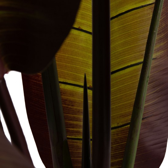 ΔΙΑΚΟΣΜΗΤΙΚΟ ΣΥΝΘΕΤΙΚΟ ΦΥΤΟ ΙΑΠΩΝΙΚΗ ΜΠΑΝΑΝΑ ΣΕ ΓΛΑΣΤΡΑ 85x75x225Υεκ.