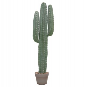 ΔΙΑΚΟΣΜΗΤΙΚΟ ΣΥΝΘΕΤΙΚΟ ΦΥΤΟ ΚΑΚΤΟΣ ΜΕ ΓΛΑΣΤΡΑ 17,5x26x103Υεκ.