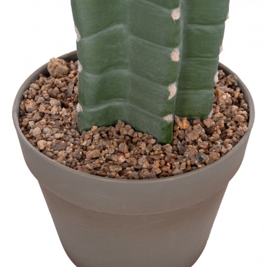 ΔΙΑΚΟΣΜΗΤΙΚΟ ΣΥΝΘΕΤΙΚΟ ΦΥΤΟ ΚΑΚΤΟΣ ΜΕ ΓΛΑΣΤΡΑ 17,5x26x103Υεκ.