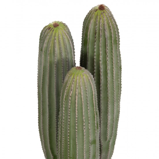 ΔΙΑΚΟΣΜΗΤΙΚΟ ΣΥΝΘΕΤΙΚΟ ΦΥΤΟ ΚΑΚΤΟΣ ΜΕ ΓΛΑΣΤΡΑ Φ16x62Υεκ.