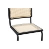 BROYER ΚΑΡΕΚΛΑ ΜΑΥΡΟ 55x48xH80cm BROYER ΚΑΡΕΚΛΑ ΜΑΥΡΟ 55x48xH80cm