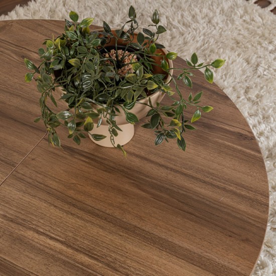 Τραπεζάκι σαλονιού σετ 2 τμχ Moira χρώμα καρυδί Ø90x41εκ.