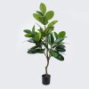 Διακοσμητικό φυτό σε γλάστρα Ficus Lyrata πράσινο Φ70x130εκ Διακοσμητικό φυτό σε γλάστρα Ficus Lyrata πράσινο Φ70x130εκ
