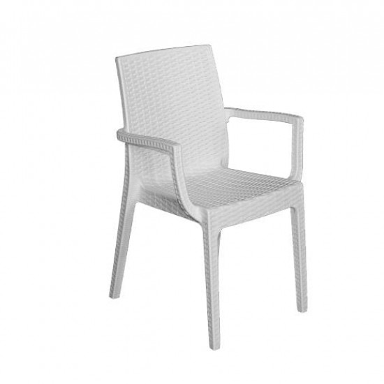 DAFNE ΠΟΛΥΘΡΟΝΑ ΠΛΑΣΤΙΚΗ ΑΣΠΡΗ (Rattan Look)