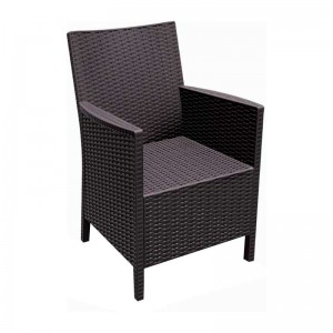 CALIFORNIA(Σ2)BROWN ΠΟΛΥΘΡΟΝΑ ΠΟΛ/ΝΙΟΥ