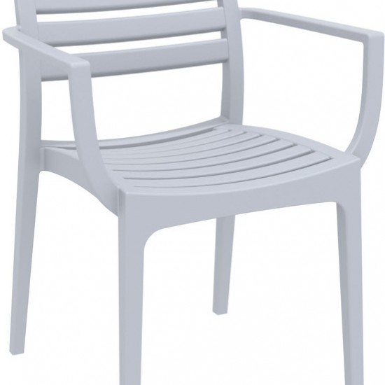 ARTEMIS SILVER GREY ΠΟΛΥΘΡΟΝΑ ΠΟΛΥΠΡΟΠΥΛΕΝΙΟΥ-artemis-siesta-zougris-diamantopoulos-epipla-khpos-wraio-artemis