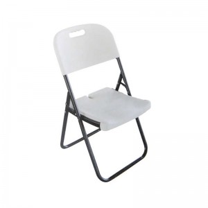 FANAL-Σ4-ΚΑΡΕΚΛΑ ΠΤΥΣΣΟΜΕΝΗ