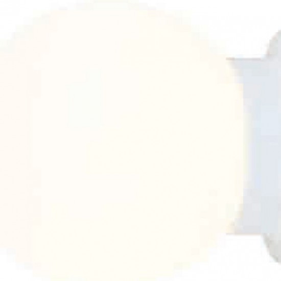 ΕΠΙΤΟΙΧΙΟ Φ/Σ 1ΧΕ27 ΛΕΥΚΟ ΓΥΑΛΙ+ΛΕΥΚΟ ΜΕΤΑΛΛΟ Φ15ΧΗ17CM