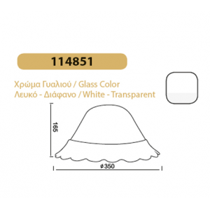 ΓΥΑΛΙ ΛΕΥΚΟ ΔΙΑΦΑΝΟ ΛΟΥΛΟΥΔΙ 