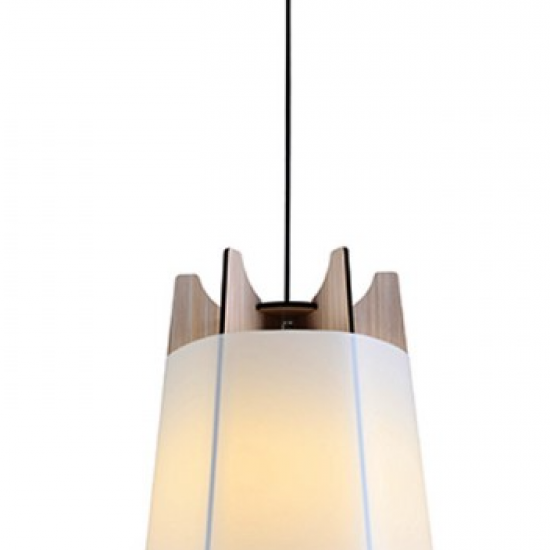 ΦΩΤΙΣΤΙΚΟ ZM170011P